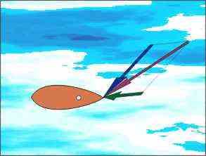 am wind