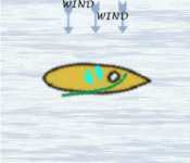 Halber Wind Halber Wind